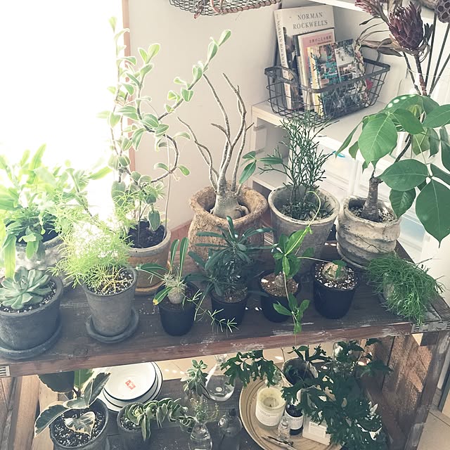 marley0209さんの実例写真