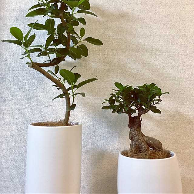zuzutownさんの実例写真