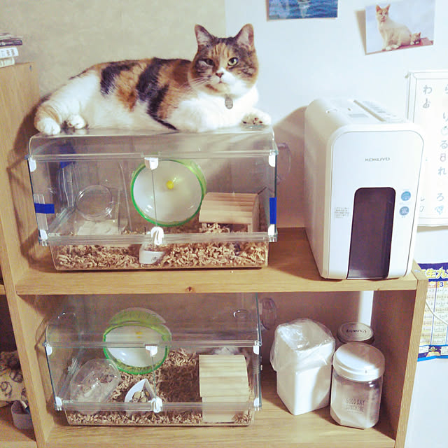 yukieさんの実例写真