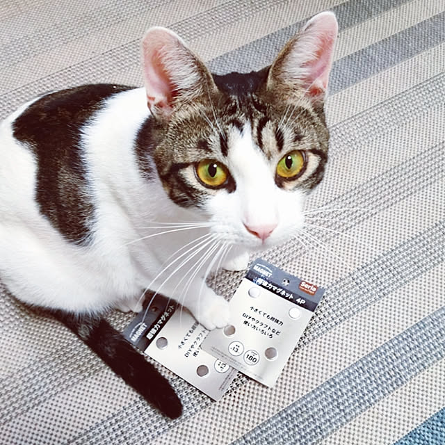 kirakirahikaruさんの実例写真