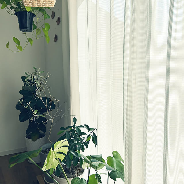 asasouさんの部屋
