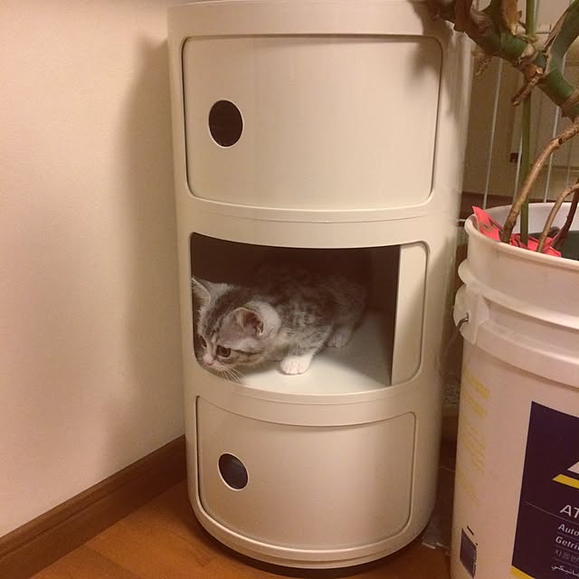 Shojiさんの実例写真