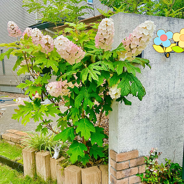 kanacchoさんの実例写真