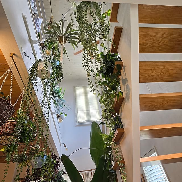 nonbiri_house_さんの部屋