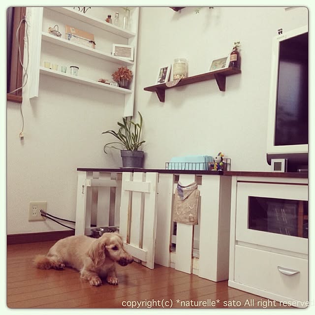 satoさんの実例写真