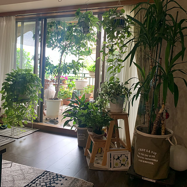 Aqettyさんの実例写真