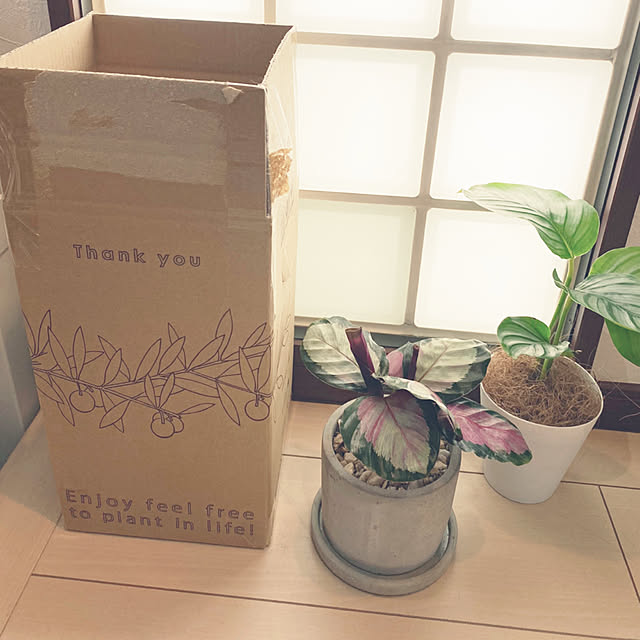 MIHさんの実例写真