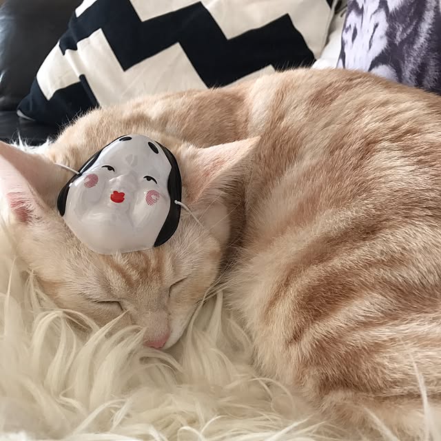 hiyupan88さんの実例写真