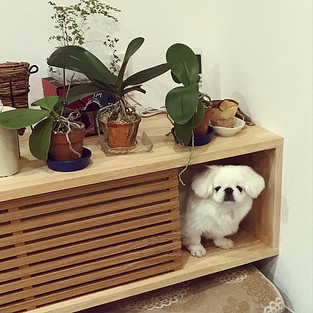 2500さんの実例写真