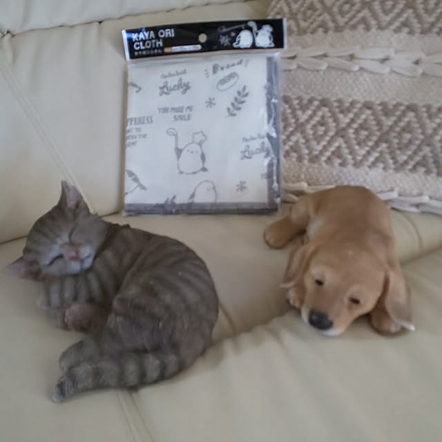 yumiyumiさんの部屋