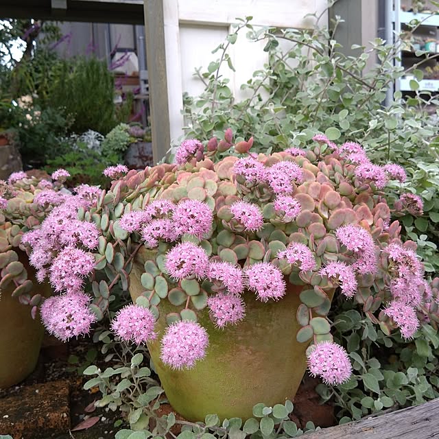 mamaさんの実例写真