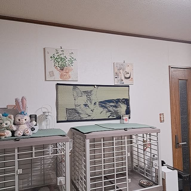 kumingさんの部屋