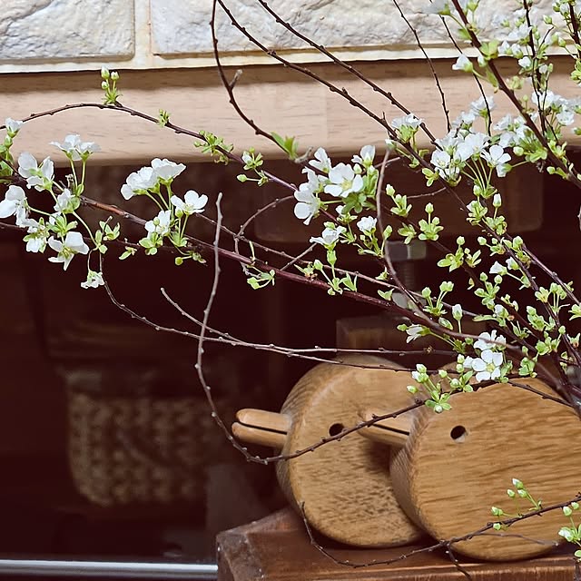 mocomocoさんの部屋