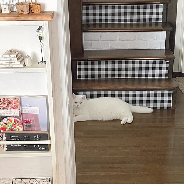 kotoriさんの部屋