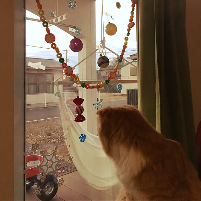 PIYOLANDさんの実例写真