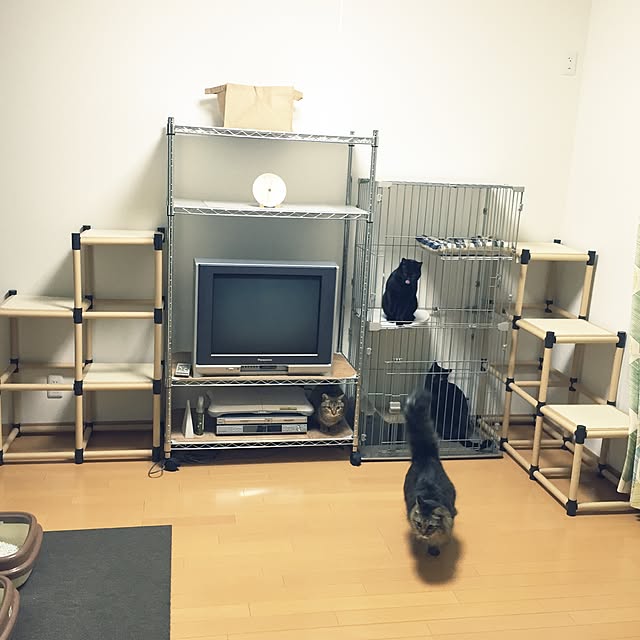 yuki0511さんの実例写真