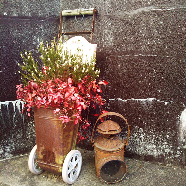 hononoさんの実例写真