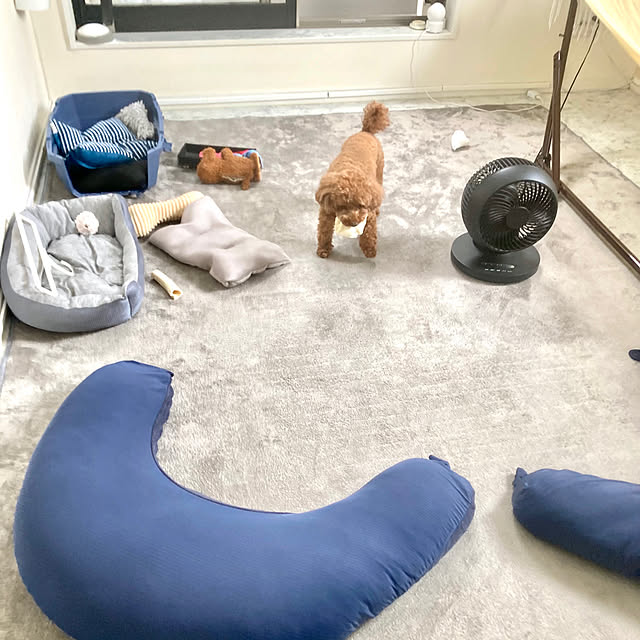 MOMOMAMAさんの実例写真
