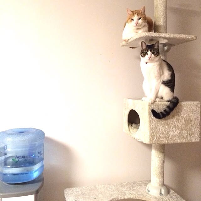 Michikoさんの実例写真