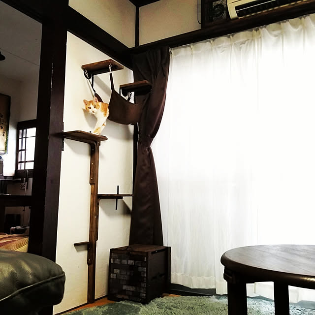 HANIWaさんの実例写真
