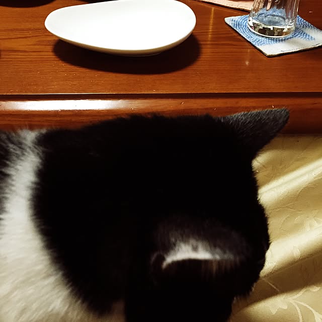 Fumiさんの実例写真