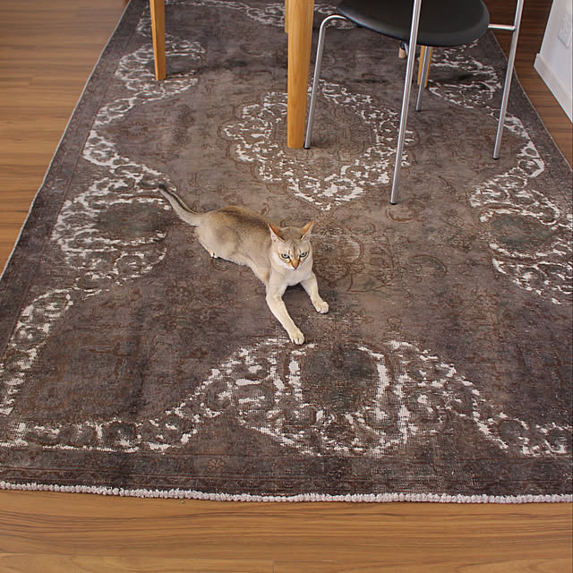 Kinacoさんの実例写真