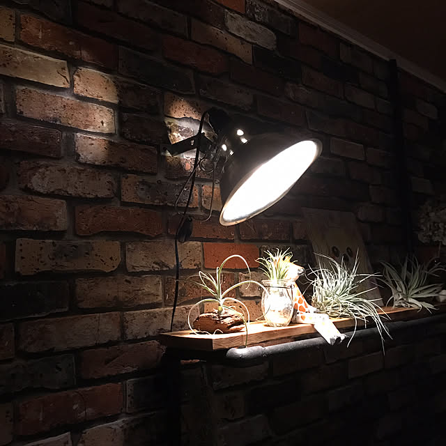 usakoさんの実例写真