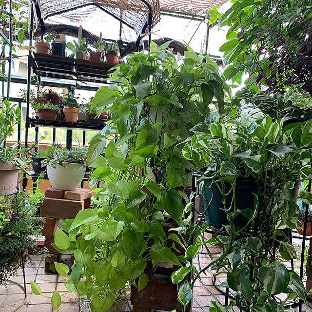 Aqettyさんの部屋