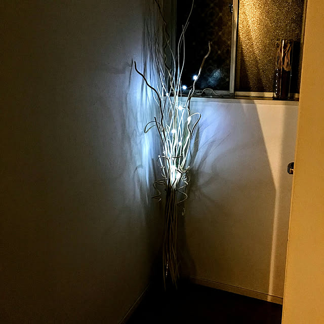 hiyo.pietさんの実例写真