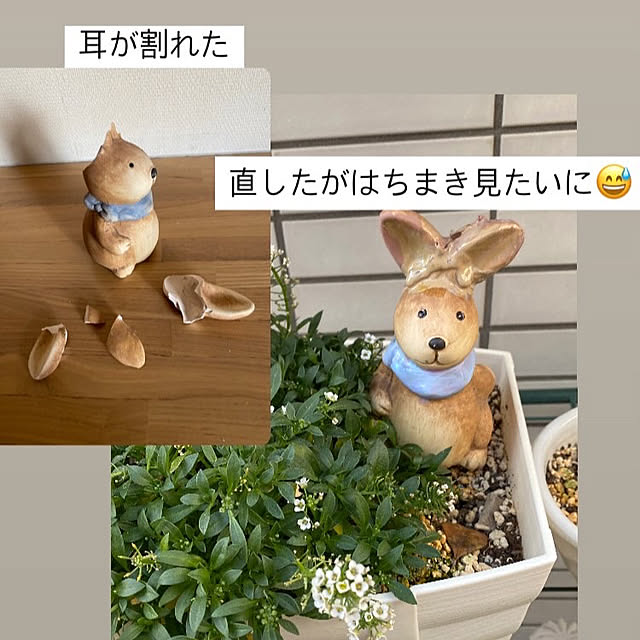 YuuKoさんの実例写真
