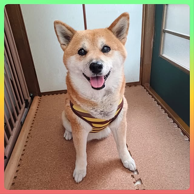 nanaさんの部屋