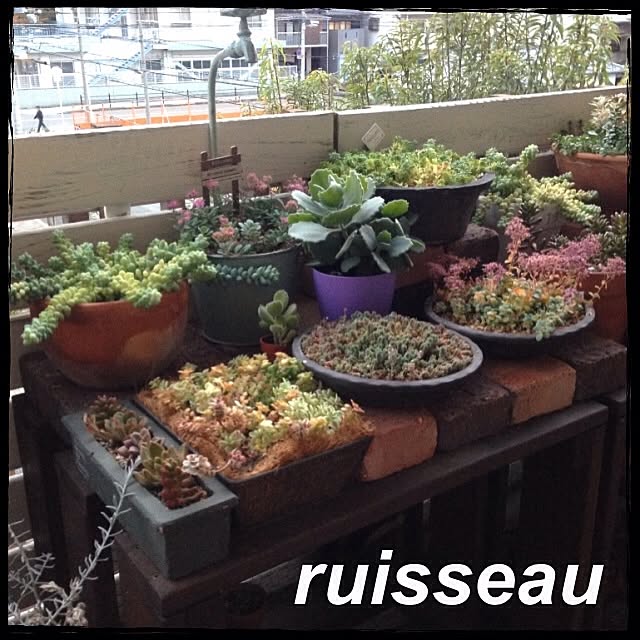 ruisseauさんの実例写真