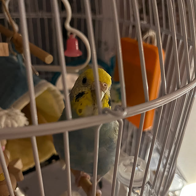 Atsukoさんの部屋