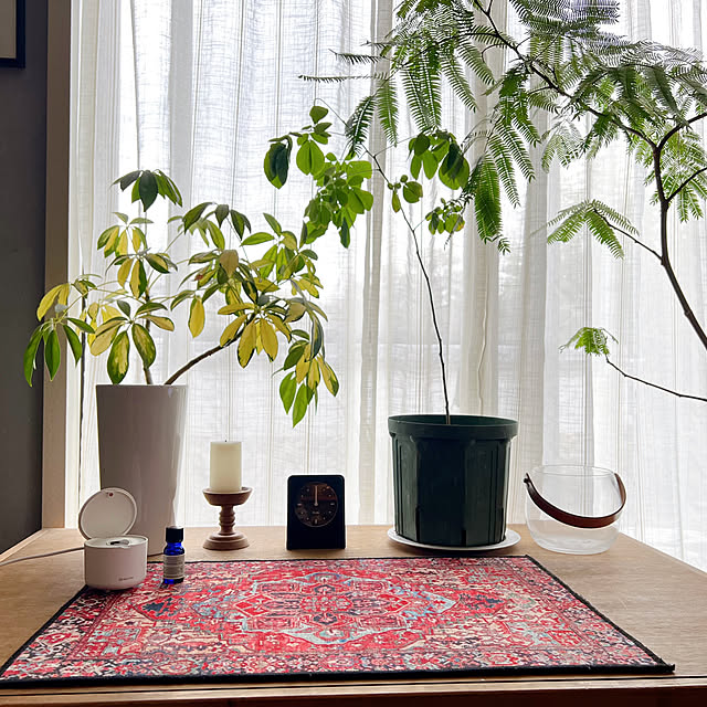 ranranさんの実例写真