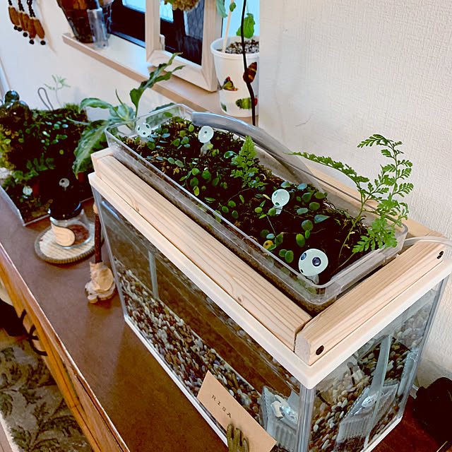 HAKOさんの部屋