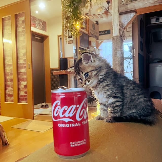 Mさんの部屋