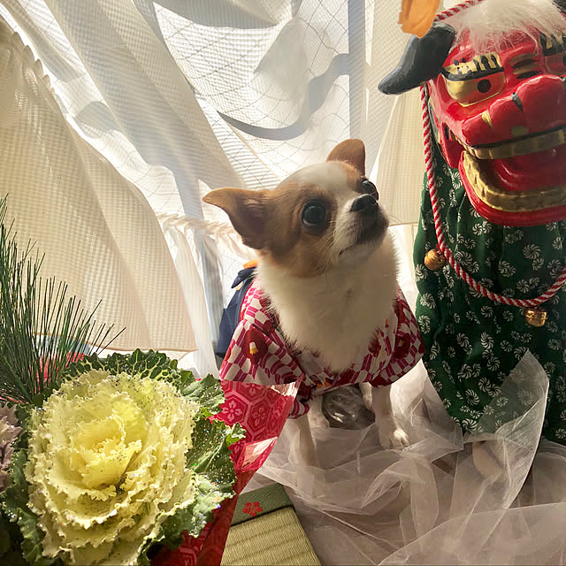 cocoさんの実例写真