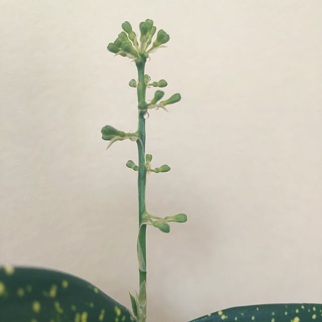 tan5さんの部屋