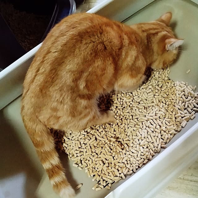runaさんの実例写真