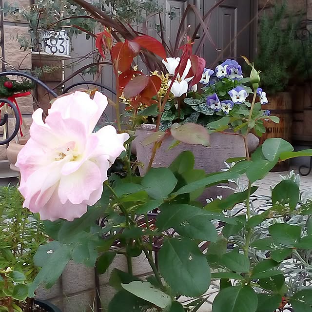 mariagardenさんの実例写真