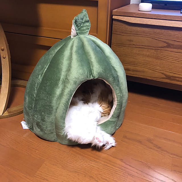 uchidaizuさんの実例写真