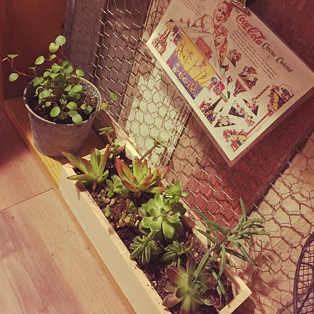 waronyagoさんの実例写真