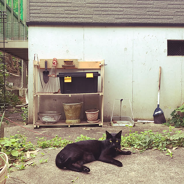 jijiさんの実例写真