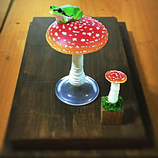 ramuchop3000さんの実例写真