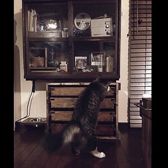 jnkaiさんの実例写真