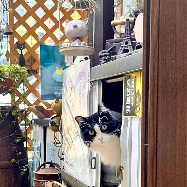 butachanさんの実例写真