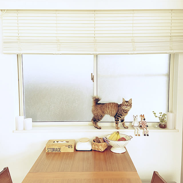gachaさんの実例写真