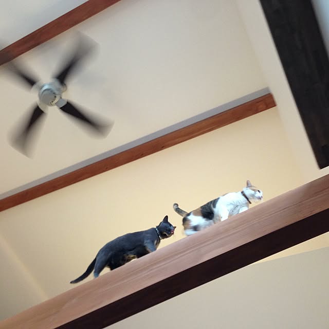 lildstさんの実例写真