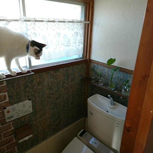 Marinyanさんの実例写真