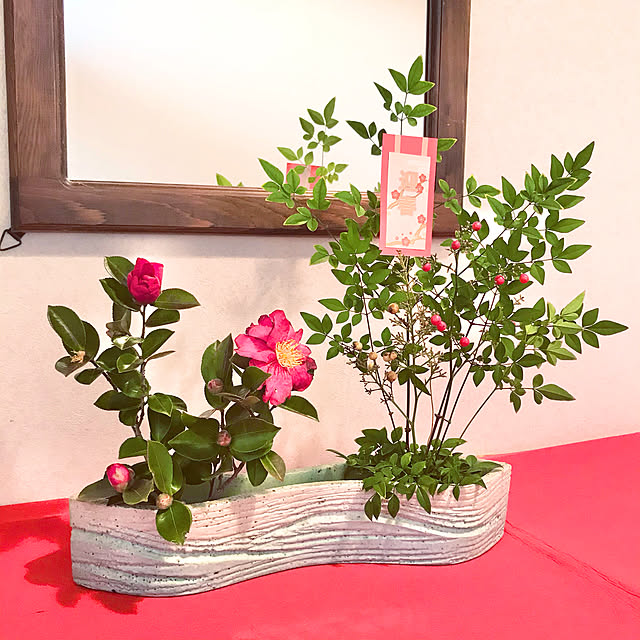 tararaさんの実例写真